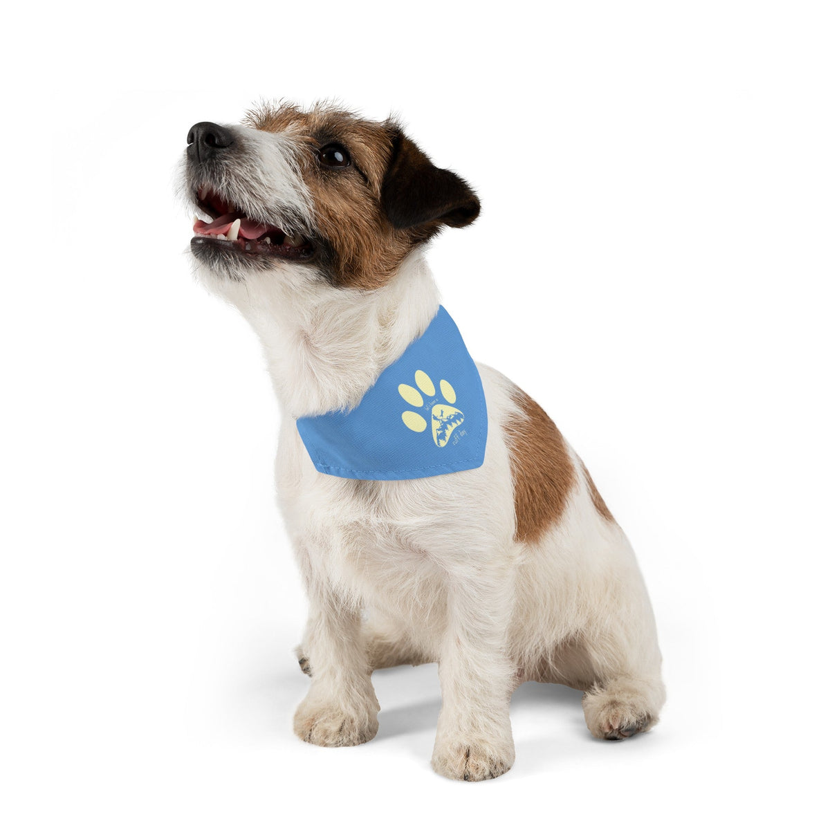 Let's Have a Ruff Day Pet Bandana with Collar
