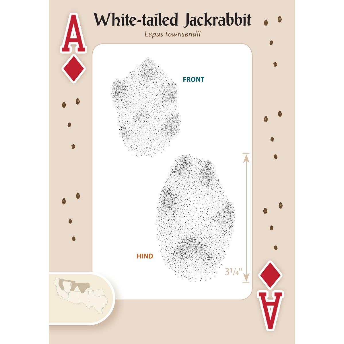 Animal Tracks of the Southwest Playing Cards