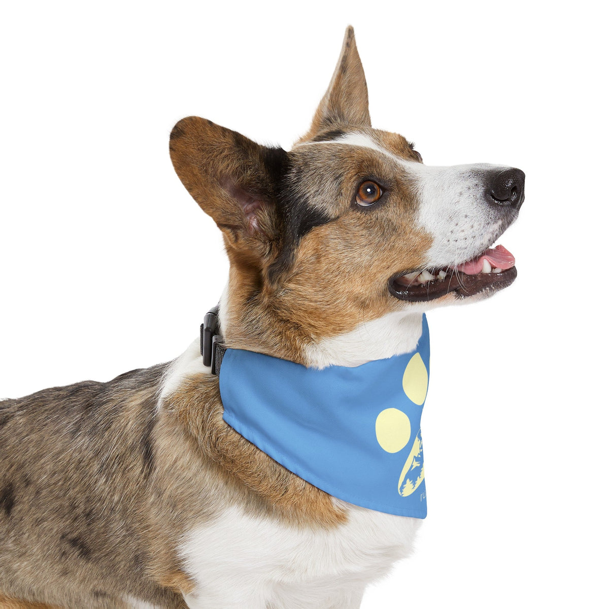 Let's Have a Ruff Day Pet Bandana with Collar