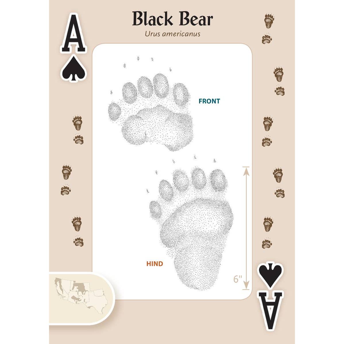 Animal Tracks of the Southwest Playing Cards